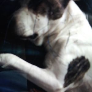 Meet your Posher, Maureen